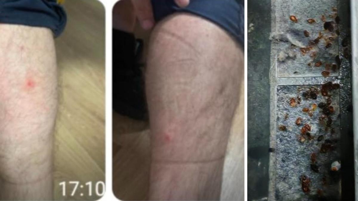 Agentii muscati de plosnite la Politia Capitalei 10 spitalizati