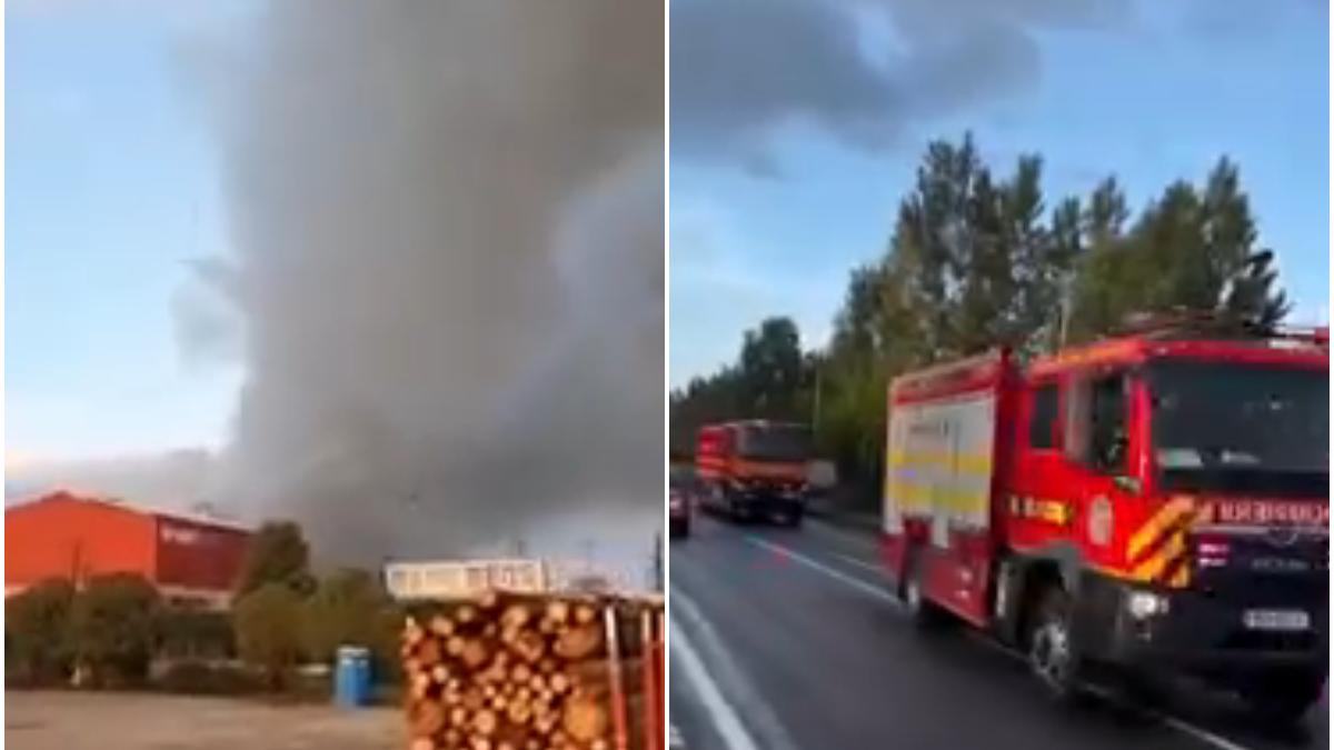 Explozie si incendiu la fabrica de pal Sebes