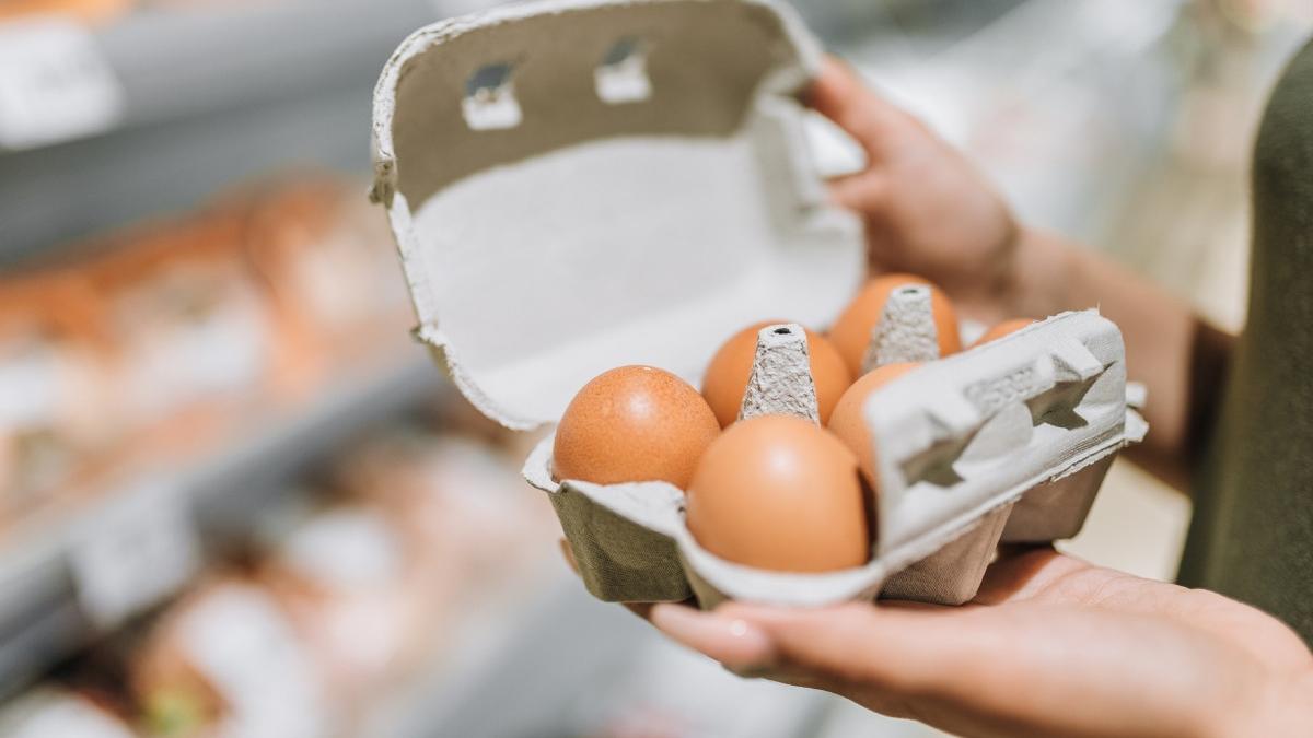 Retragerea urgenta a oualor bio din cauza salmonelozei