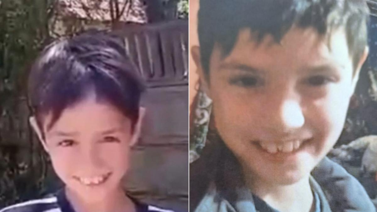 Ro Alert emis in cinci judete dupa disparitia lui Madalina 11 ani