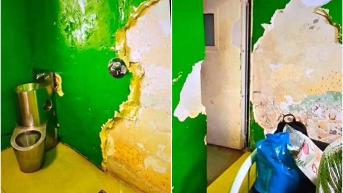 Este de plans Nu credeam ca exista asa ceva