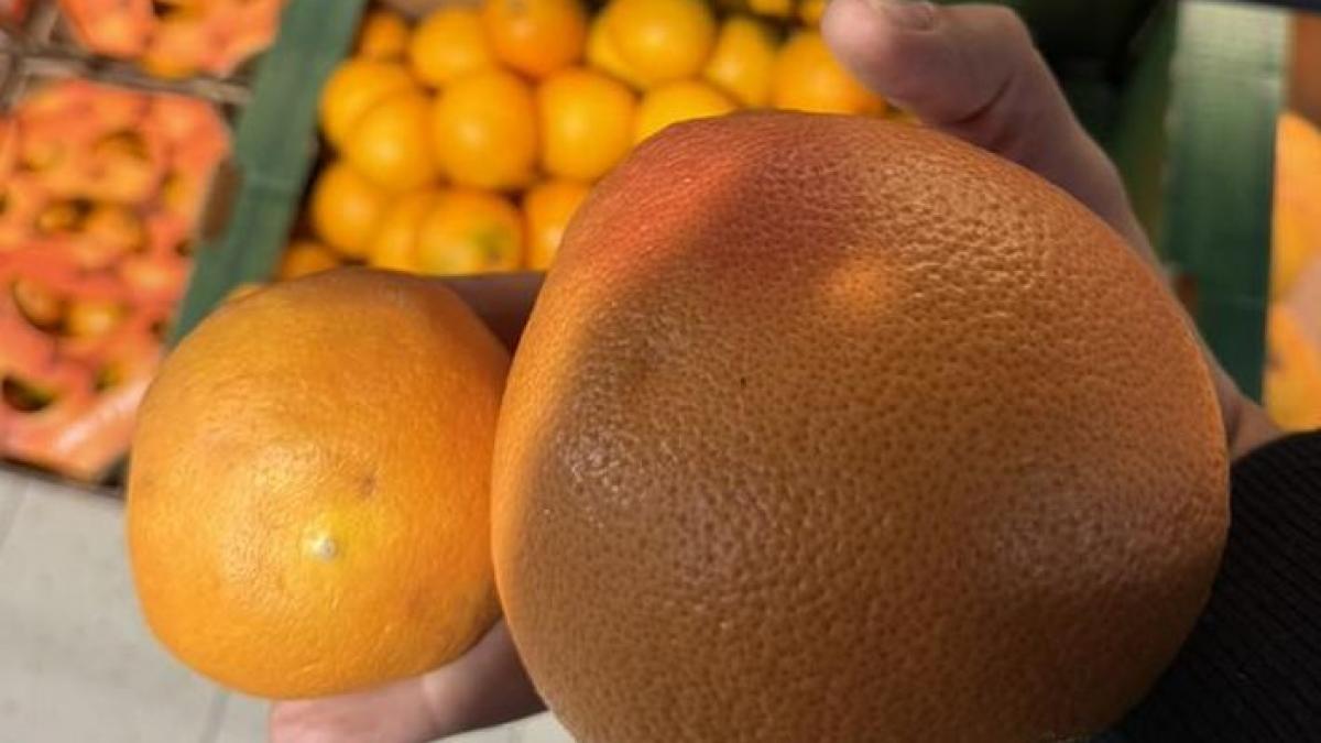 Romania bataia de joc a importatorilor de citrice