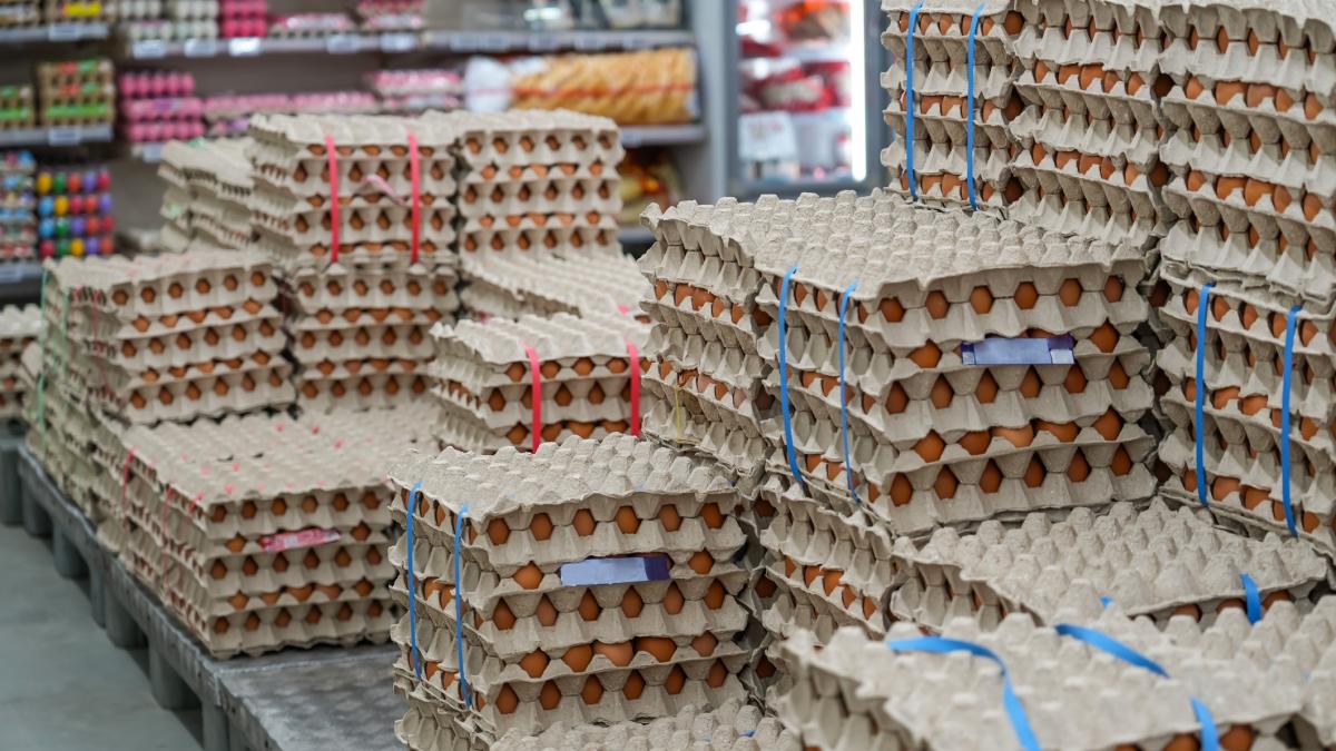 avertizare de sanatate inainte de paste 15 milioane de oua infectate cu salmonella in vaslui