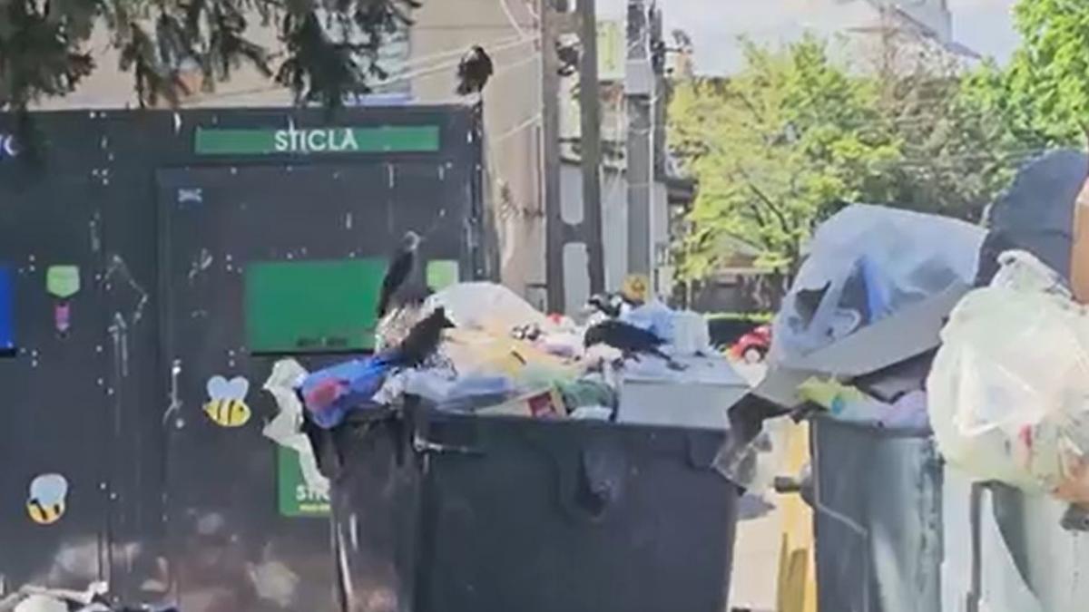 Alertă în Bacău: 65 de localități sufocate de deșeuri. “Nu pot justifica cheltuielile cu...” 3 Alerta in Bacau 65 de localitati sufocate de deseuri Nu pot justifica cheltuielile cu